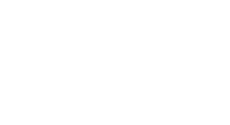 Logo Dahua