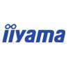 IIYAMA